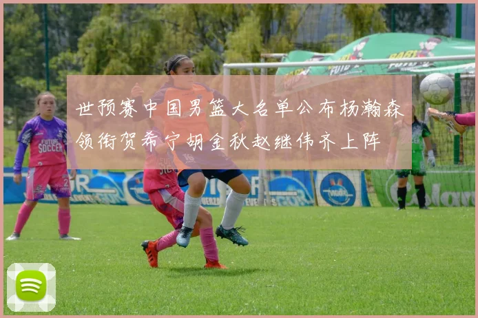 世预赛中国男篮大名单公布杨瀚森领衔贺希宁胡金秋赵继伟齐上阵